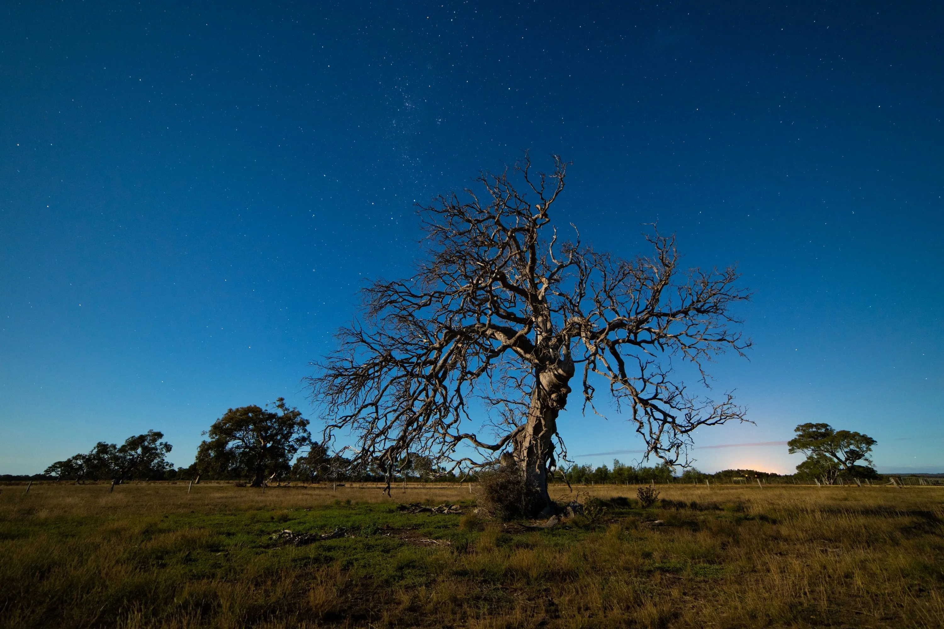 14mm F2.8 Full Frame Ultra Wide Angle (Canon RF)