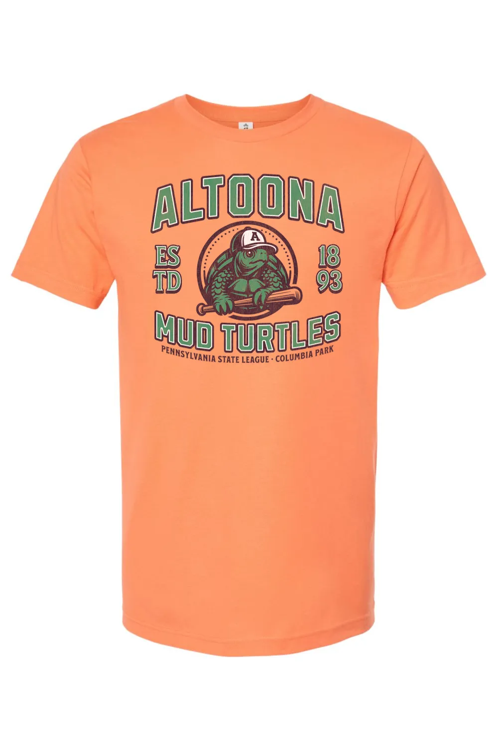 Altoona Mud Turtles Baseball - 1893