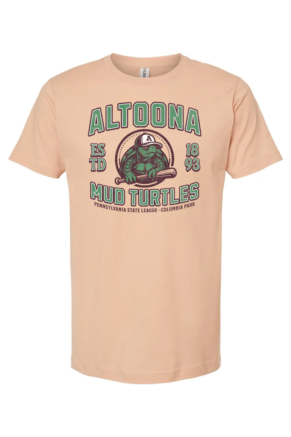 Altoona Mud Turtles Baseball - 1893