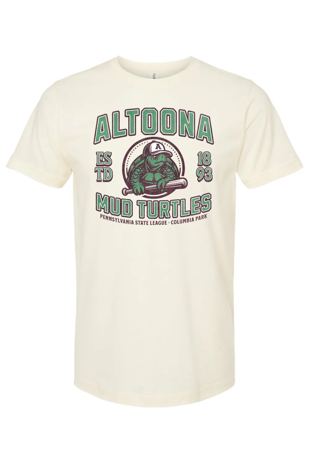 Altoona Mud Turtles Baseball - 1893