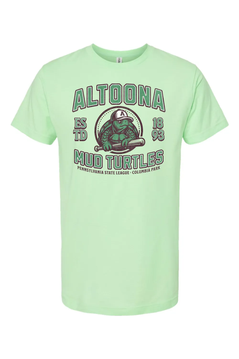 Altoona Mud Turtles Baseball - 1893