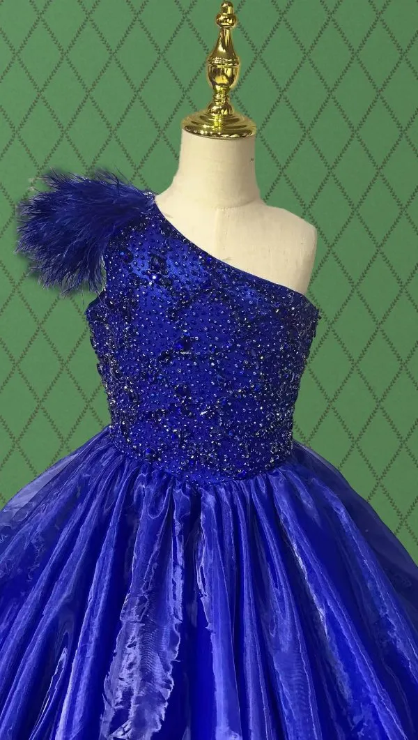 Kids Royal Stunning Pageant Gown with Feather