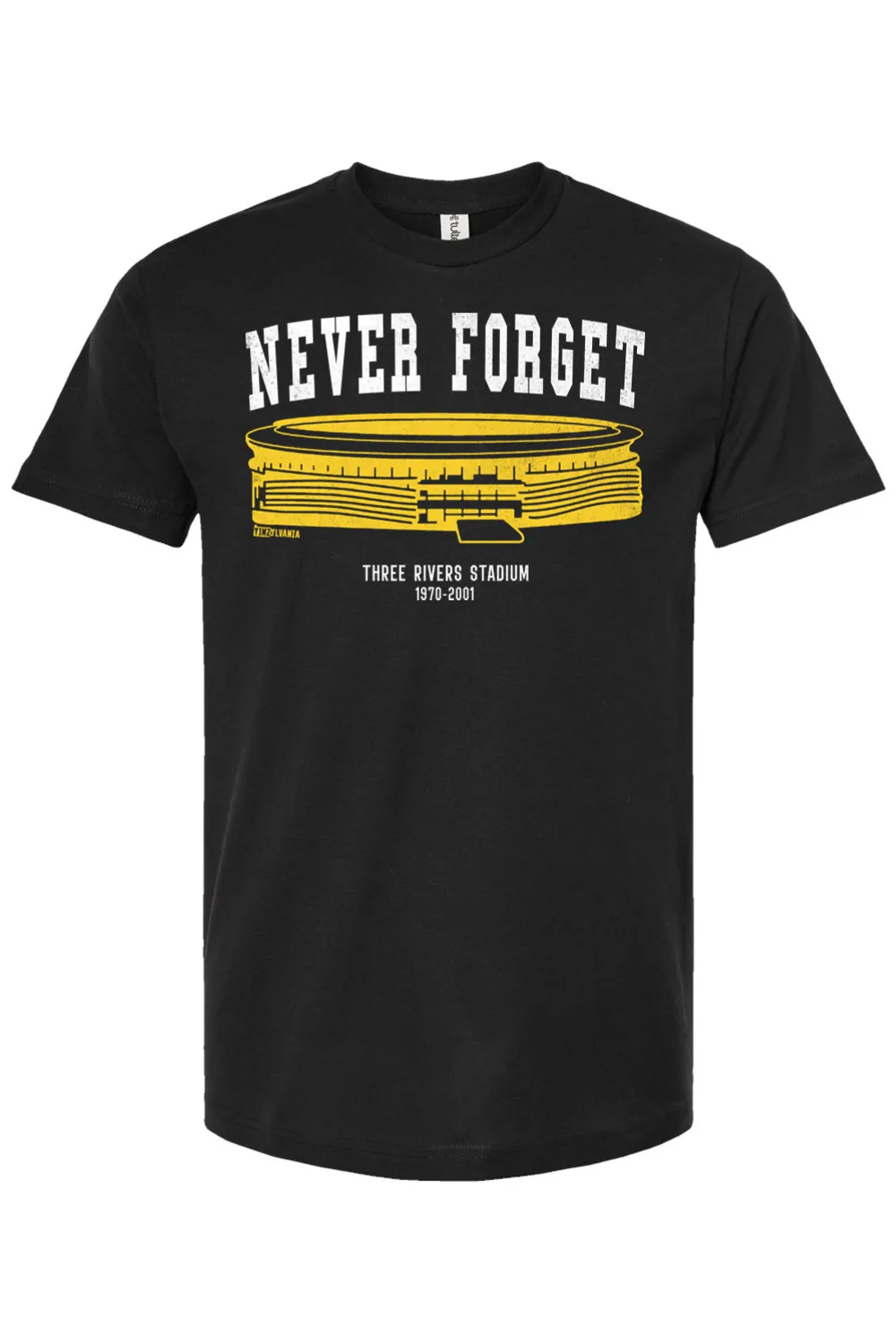 Never Forget - Three Rivers Stadium