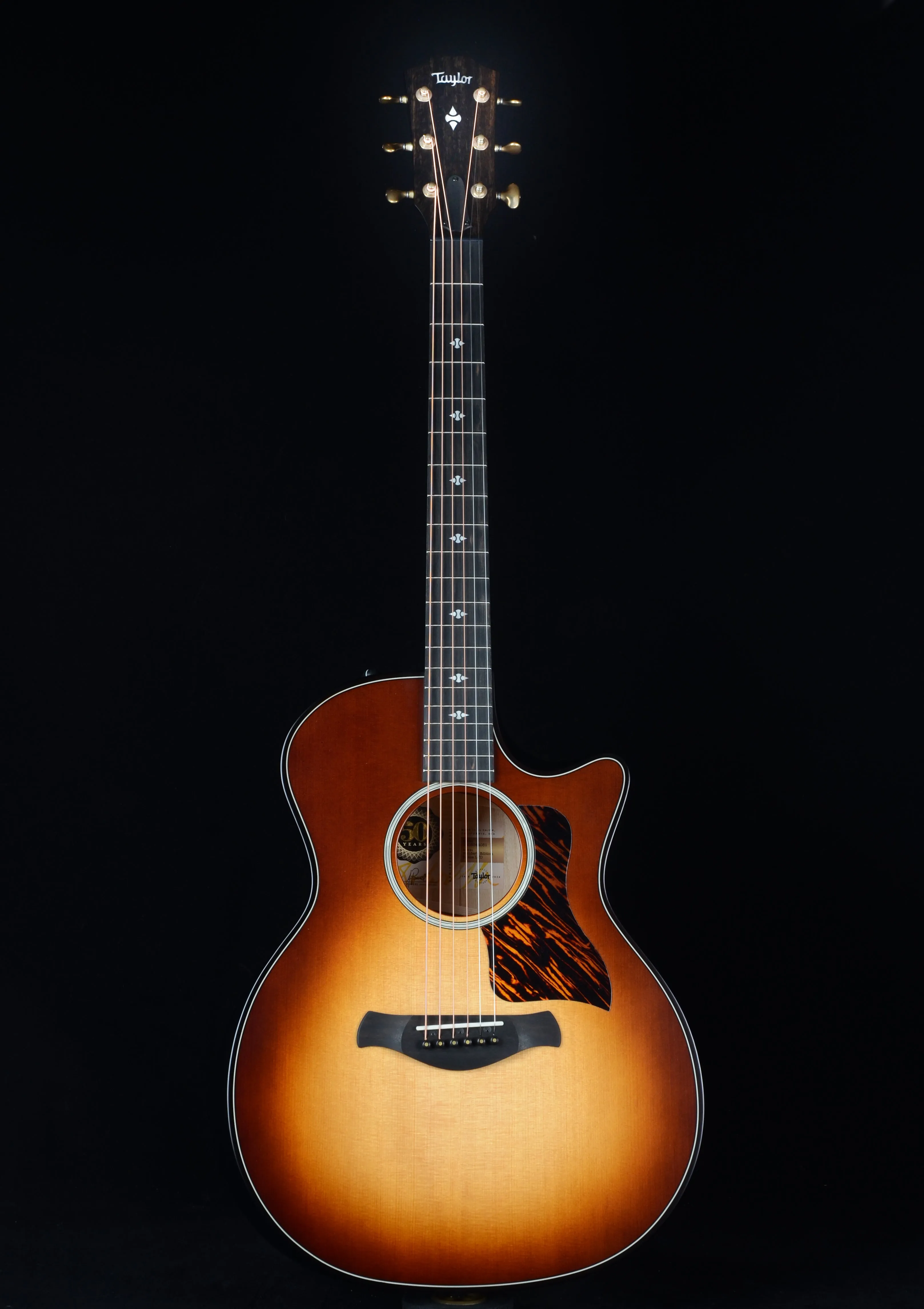 Taylor 50th Anniversary Builder's Edition 314ce LTD